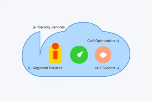 What are managed Service Providers(MSP)?
