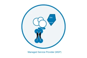 Cloud Computing MSP and What They Offer?
